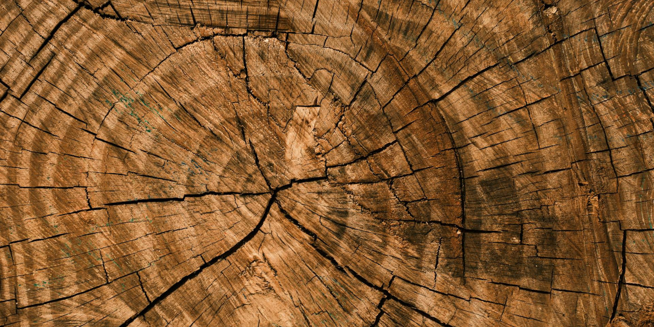 Il legno massello e la sua struttura