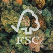 Certificazione FSC a Tutela dell'Ambiente